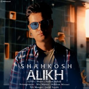 Ali Khodaei Shah Kosh